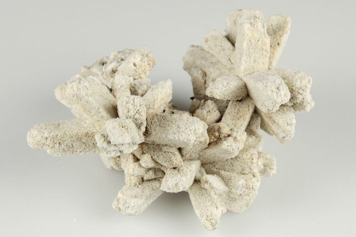 Radiating, Sand Celestine (Celestite) Crystals - Kazakhstan #193440